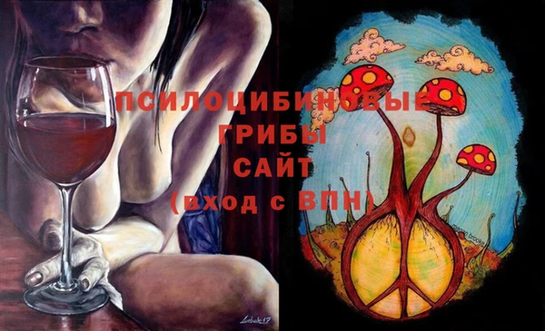 СК Алзамай